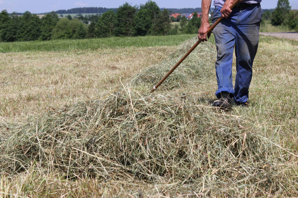 za velmi slunečného dne v červnu v jižním Německu uvidíte seno, haying nástroje a farmář v modrých kalhotách usilovně pracuje na práci před koncem dne - Fotografie, Obrázek