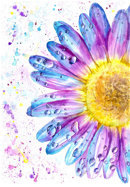 Watercolor chamomile pink and blue with color splashes. - Foto, Bild