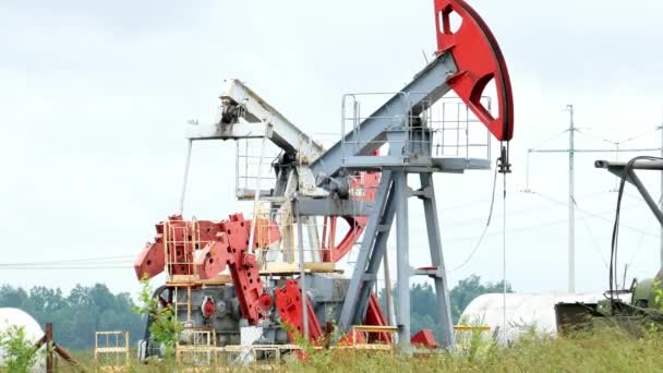 Εργασίας Jack αντλία πετρελαίου σε ένα πεδίο κραμβέλαιο - Πλάνα, βίντεο