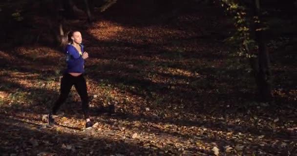 Female runner in the park. Beautiful woman in blue jacket and other fitness clothes listens to the music while she runs on the fallen leaves in the park full of sunshine - Footage, Video