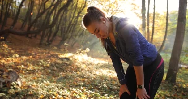 Female runner in the park. Close-up of tired young woman in fitness suit taking a break after long riun while sun shines over golden trees behind her - Footage, Video