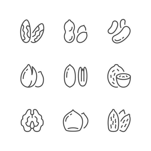 Establecer iconos de línea de frutos secos
 - Vector, Imagen