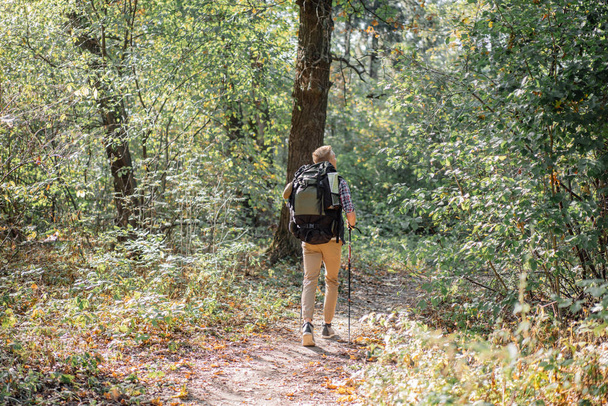 Young man enjoying hiking alone with nordic walking sticks in the forest - Photo, Image