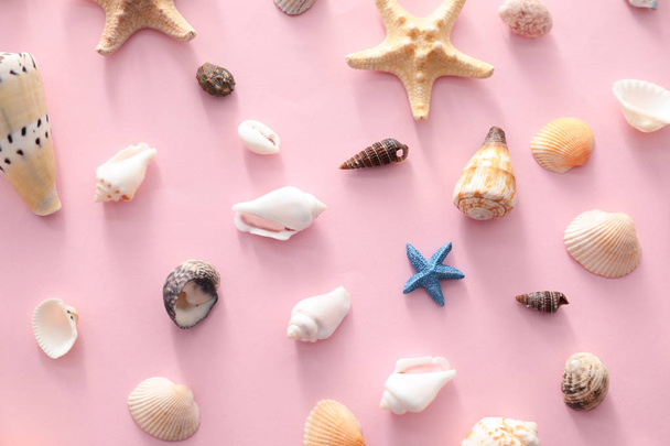Different sea shells on color background - Photo, Image