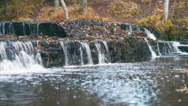 Prachtige rivier de stroomversnellingen op een warme herfstdag in Estland - Video