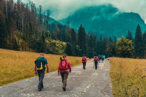 Yürüyüşçüler / turist sırt çantaları ile yürüyüş dağlara doğru giden yolun üzerinde. Sonbahar / sonbahar sezon. - Fotoğraf, Görsel