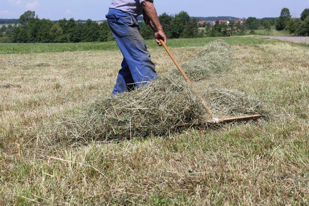 en un día muy soleado en junio en el sur de Alemania se ve heno, herramientas y granjero en pantalones azules trabajando duro para hacer el trabajo antes del final del día
 - Foto, imagen