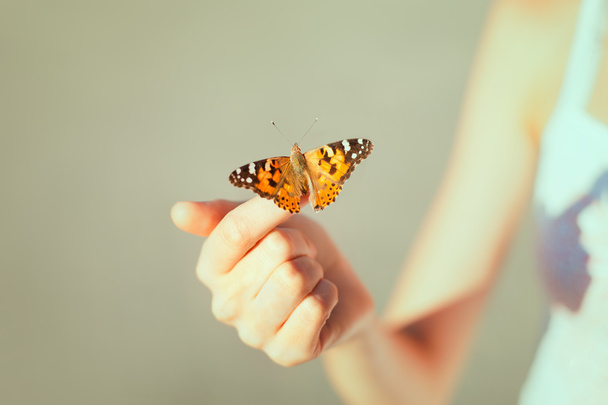 butterfly sitting on the girl hand - Foto, Imagen