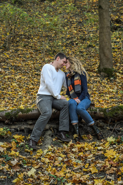 Young happy, loving couple sitting on a log of fallen tree in the autumn forest, among the yellow fallen leaves - 写真・画像