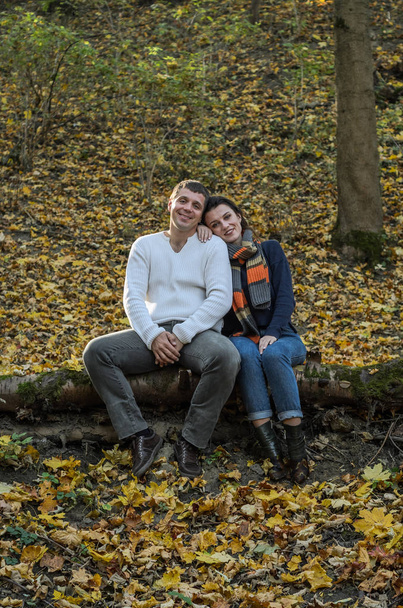 Young happy, loving couple sitting on a log of fallen tree in the autumn forest, among the yellow fallen leaves - Foto, immagini