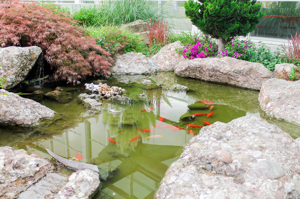 Πισίνα με κόκκινα ψάρια. Πισίνα με κόκκινα ψάρια. Πισίνα κατασκευασμένη από φυσικές πέτρες. - Φωτογραφία, εικόνα
