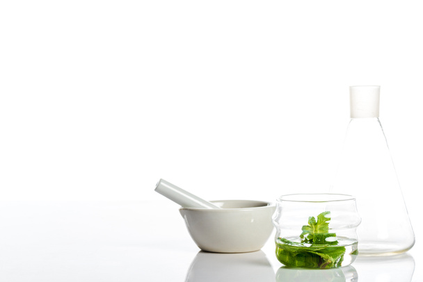 argamassa com pilão e jarros de vidro com ervas isoladas em branco
 - Foto, Imagem