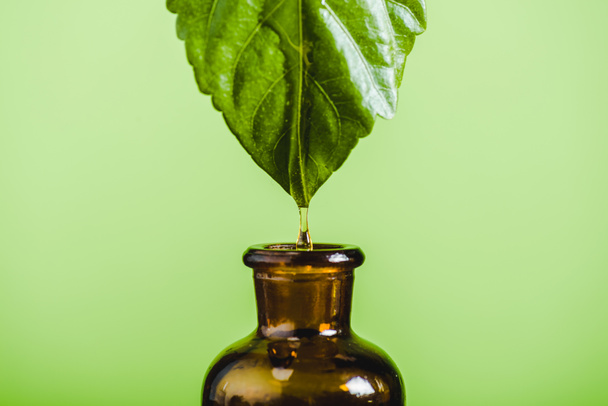 etherische olie druipend van blad in glazen fles geïsoleerd op groen - Foto, afbeelding