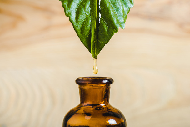 close up of essential oil dripping from leaf into glass bottle isolated on beige - Photo, Image
