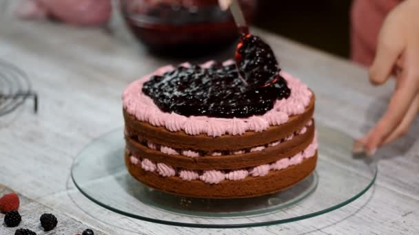 Preparing making chocolate cake with berries. Womans hand decorate cake. - Imágenes, Vídeo