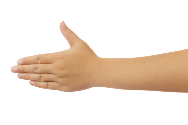 Main humaine tendue vers la main et montrant 5 doigts geste isoler sur fond blanc avec chemin de coupure, Faible contraste pour retouche ou désir graphique
 - Photo, image