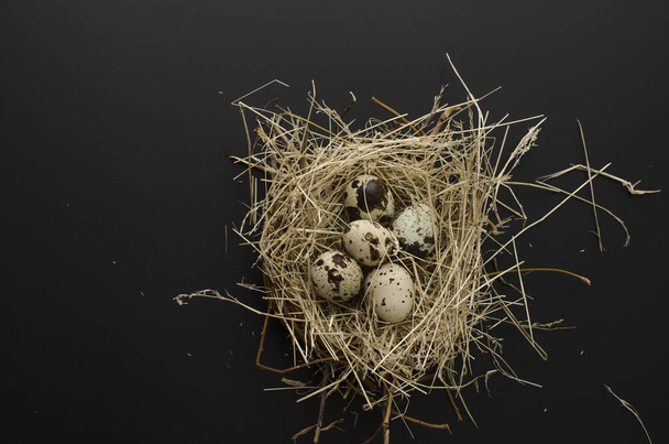 перепелиные яйца в гнезде, изолированном на черном
 - Фото, изображение