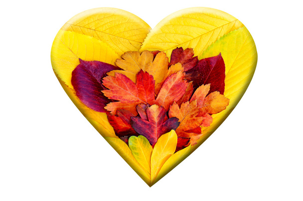 serce z liści jesienią - Zdjęcie, obraz