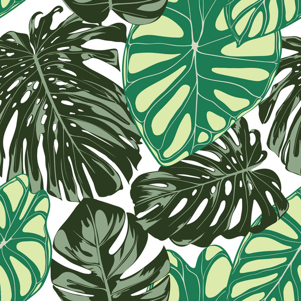 Seamless Exotic Pattern with Tropical Plants. Vector Background with Hand Draw Monstera Palm Leaves. Bright Rapport for Cloth, Textile Design. Jungle Foliage. Seamless Tropical Pattern with Alocasia. - Vektör, Görsel