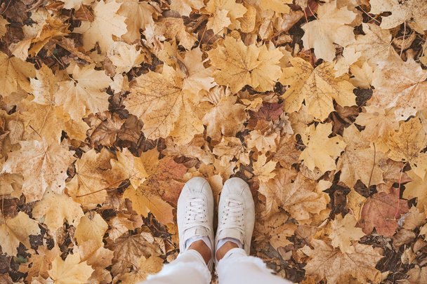 High anle view of female feet in the autumn leaves with copy space  - Photo, Image