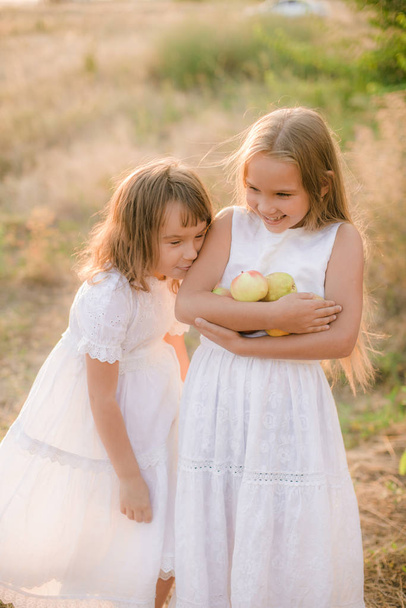 Cute little sisters in white dresses laugh laughing with apples and pears in the countryside on a sunny autumn day - Photo, image