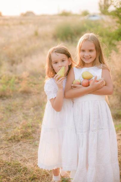 Cute little sisters in white dresses laugh laughing with apples and pears in the countryside on a sunny autumn day - Fotoğraf, Görsel