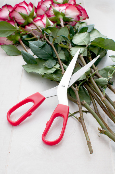 Red scissors for gardening and flowers - Zdjęcie, obraz