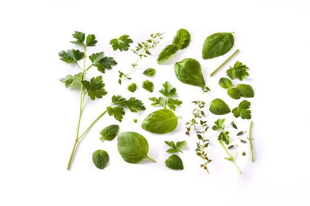Green fresh aromatic herbs pattern isolated on white background. Top view. - Photo, Image