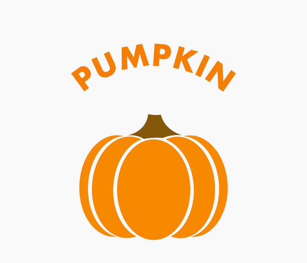 Pumpkin icon. Flat design vector illustration - Vector, imagen