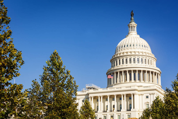 Fasada Kongresu Stanów Zjednoczonych na Capitol Hill, Waszyngton na słoneczny dzień - Zdjęcie, obraz