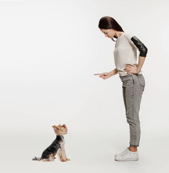 Woman with her dog on leash over white background - Foto, Imagem