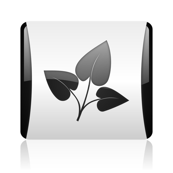 eco black and white square web glossy icon - Фото, изображение