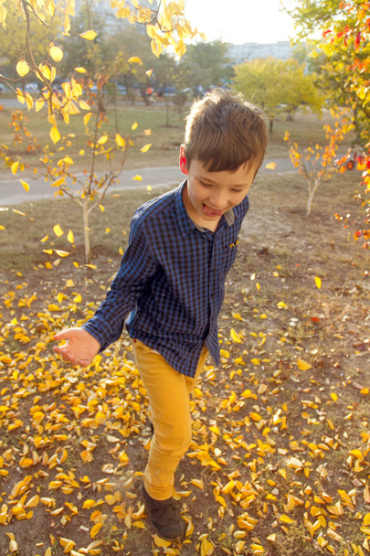Ευτυχισμένο αγόρι να διασκεδάσουν στο πάρκο φθινόπωρο, ρίχνουν επάνω σε φύλλα, smie και γέλιο - Φωτογραφία, εικόνα