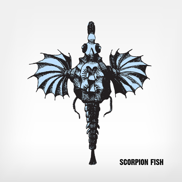 Engraving vintage Scorpion fish. - Vektor, Bild