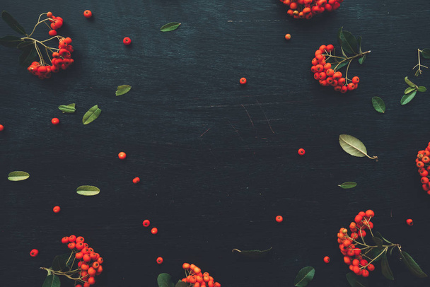 Flat lay red wild berry cruit arrangement, top view natural pattern as decoration on black wooden background - 写真・画像