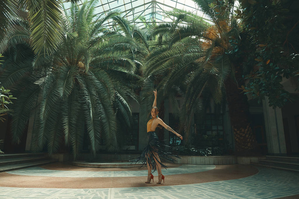 Tanssi on elämäntapa käsite. Nuori kaunis nainen tanssijoita esiintymässä hämmästyttävä trooppinen puutarha palmuja taustalla lasin alla katolla. Intohimo, motivaatio ja inspiraatio
. - Valokuva, kuva