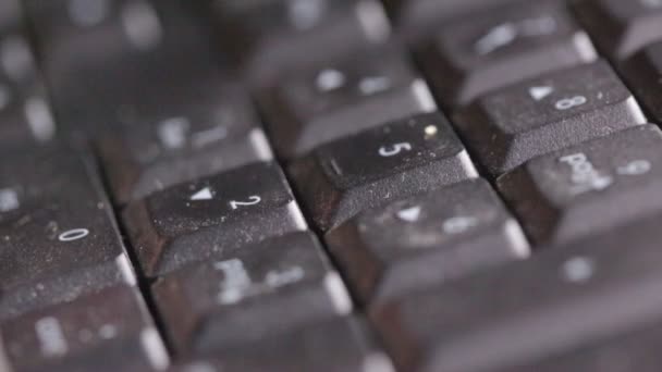 bijgesneden shot van de persoon typen op zwart toetsenbord - Video