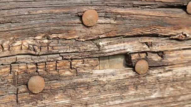 Nahaufnahme der alten geschlossenen Holztür Hintergrund - Filmmaterial, Video