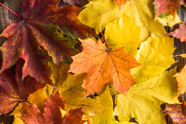 χρώμα κίτρινο πορτοκαλί maple φύλλα σε ξύλο φόντο - Φωτογραφία, εικόνα