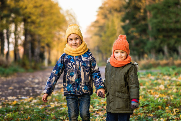 two boys in colored hats walking in the Park in the autumn - 写真・画像