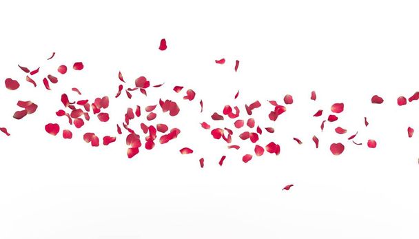 A szirmok piros rózsa repülni messze a távolba. Fehér elszigetelt háttér. - Fotó, kép