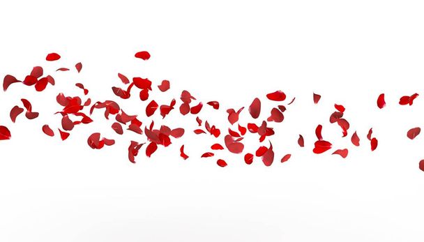 As pétalas de uma rosa vermelha voam muito para a distância. Branco fundo isolado
. - Foto, Imagem