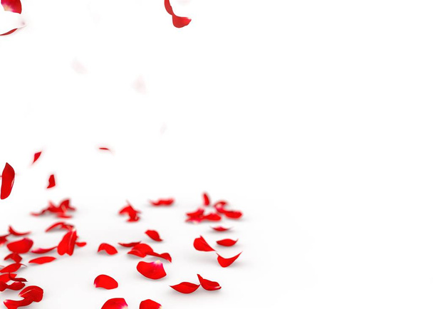 Rose petals fall to the floor. Isolated background - Photo, Image