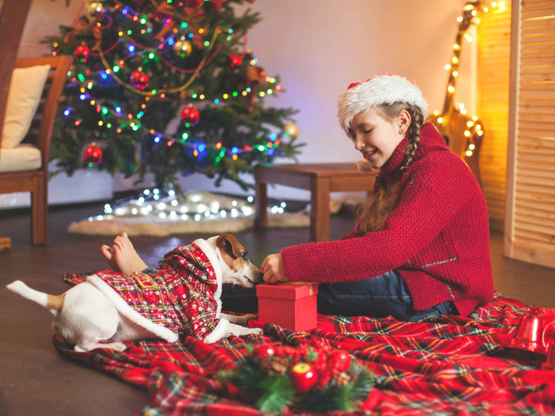 Smiling girl with dog near christmas tree at home - Fotoğraf, Görsel