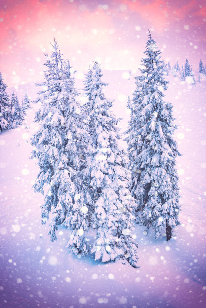 Karácsony vagy újév színű háttér, havas fenyők hópelyhek a hegy oldalán, függőleges kép - Fotó, kép