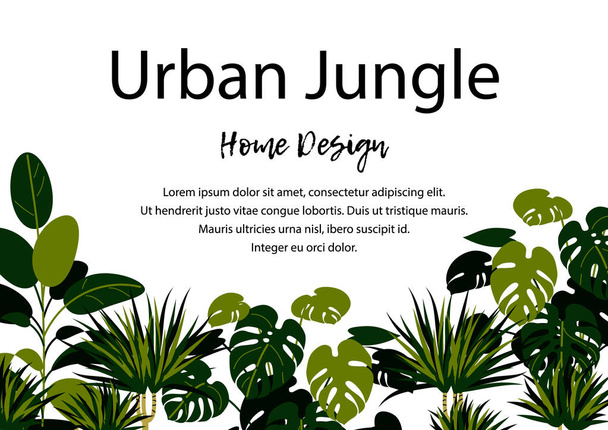 Városi dzsungel vízszintes banner. Otthoni növények design - Vektor, kép