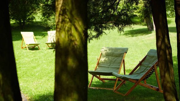Rest chairs in the garden. Resort concept - Valokuva, kuva