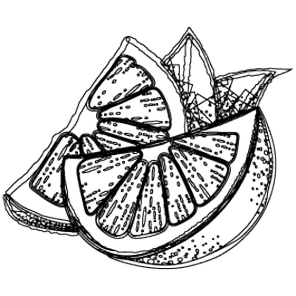 Half cutted lemon depicting fruit icon   - Διάνυσμα, εικόνα