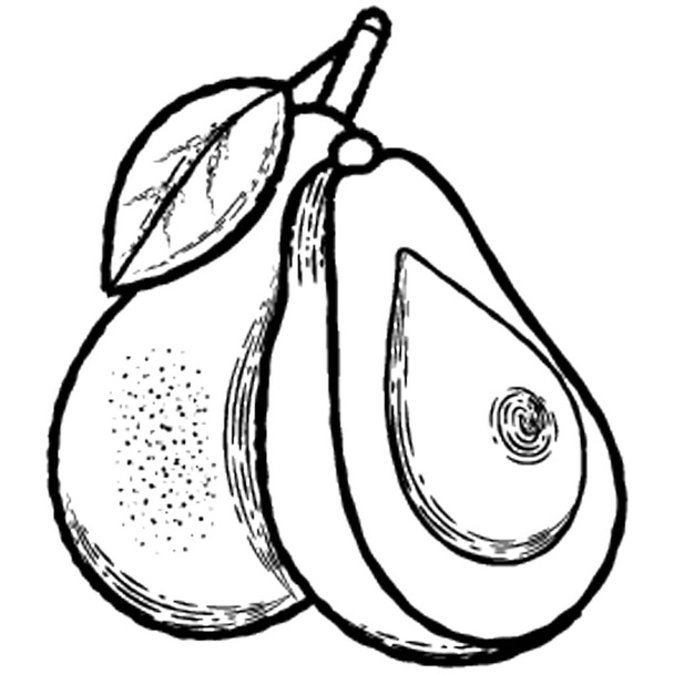 Avocado a healthy fruit icon  - Διάνυσμα, εικόνα