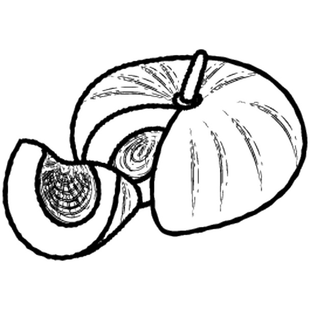 A melon icon design of healthy food  - ベクター画像